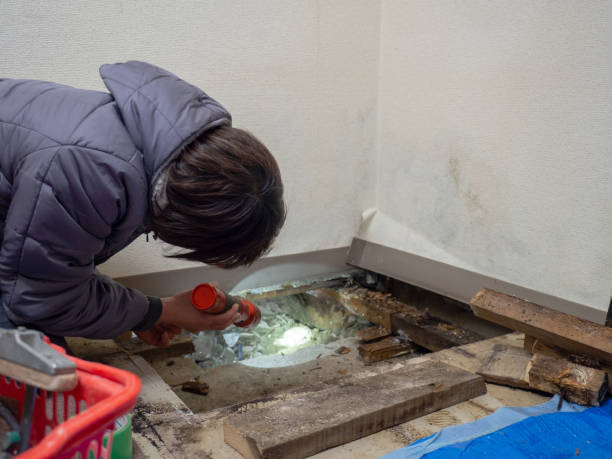 Best Mold Removal for HVAC Installations  in Crow Agency, MT