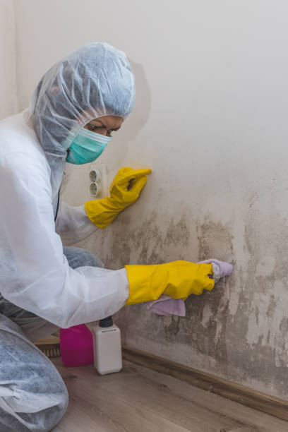 Best Post-Remediation Verification Testing  in Crow Agency, MT
