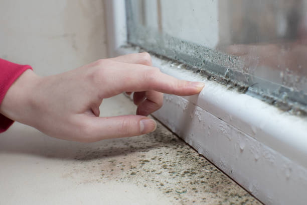Best Indoor Air Quality Assessment  in Crow Agency, MT
