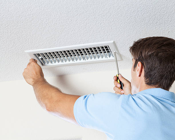 Best Industrial Mold Remediation  in Crow Agency, MT