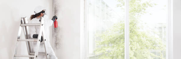 Best Commercial Mold Inspection  in Crow Agency, MT