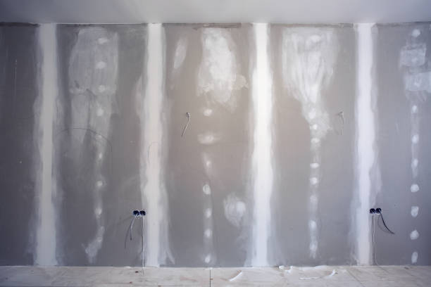 Best Mold Remediation for Healthcare Facilities  in Crow Agency, MT